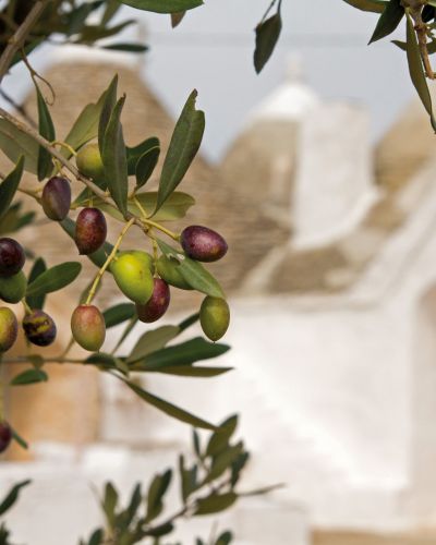 PUGLIA TO TASTE